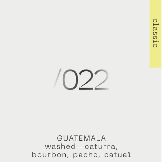 Guatemala Caturra, Bourbon, Pache, Catuai 022