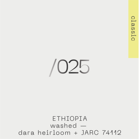 Ethiopia Dara heirloom 025