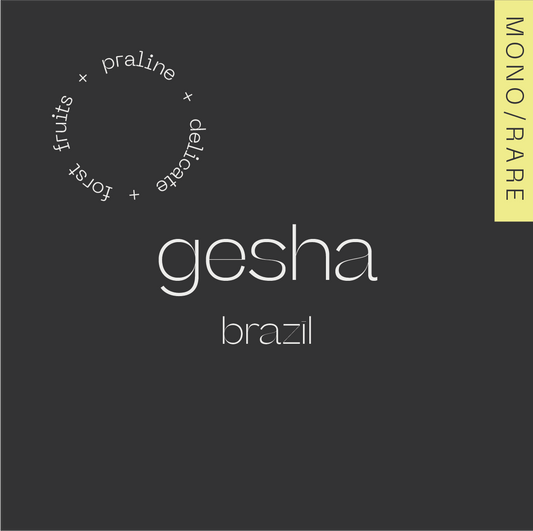 Brazil Gesha 100g