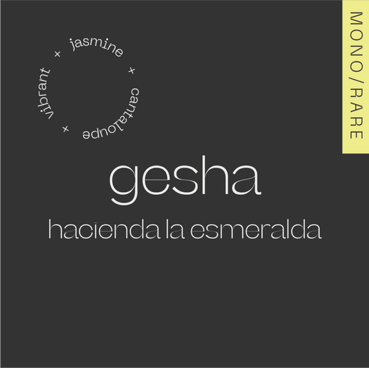 Panama GESHA Finca La Esmeralda 19g