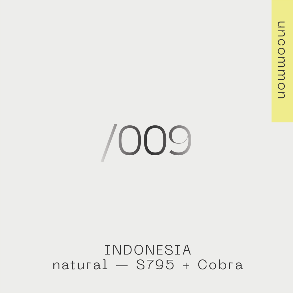 Indonesia — S795 & Cobra 009