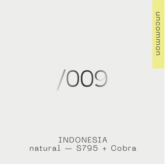 Indonesia — S795 & Cobra 009