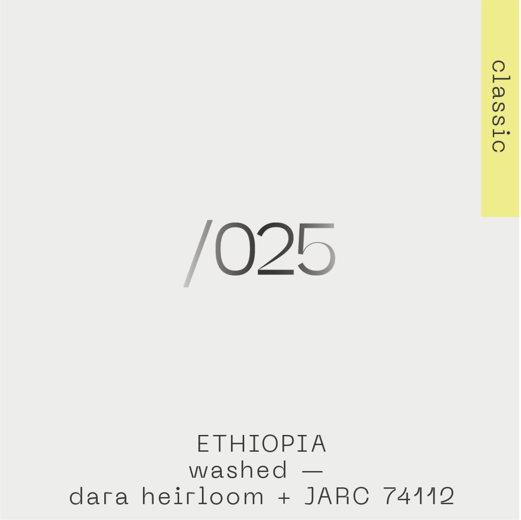 Ethiopia Dara heirloom 025